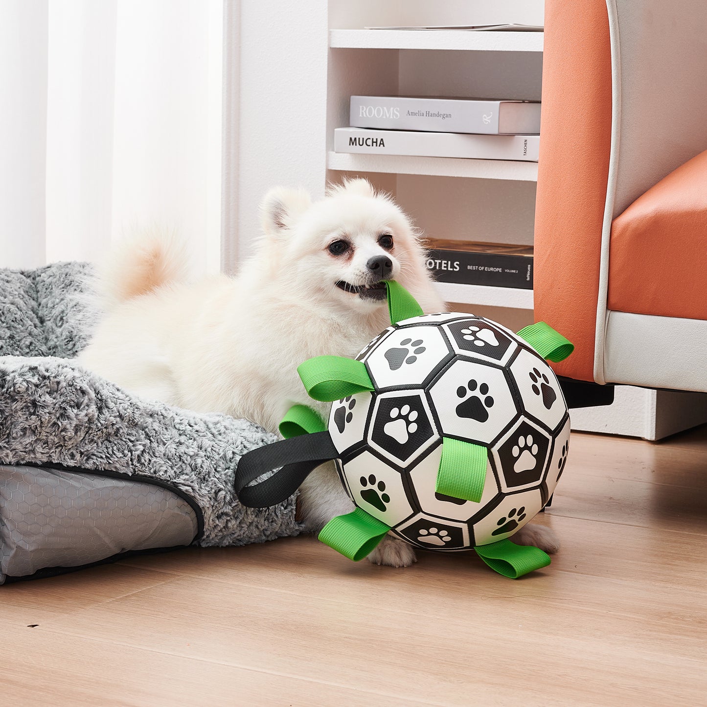 Interactive Dog Football Toy Soccer Ball