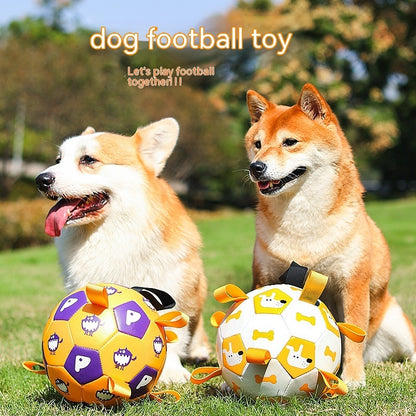 Dog Interactive Football Toys