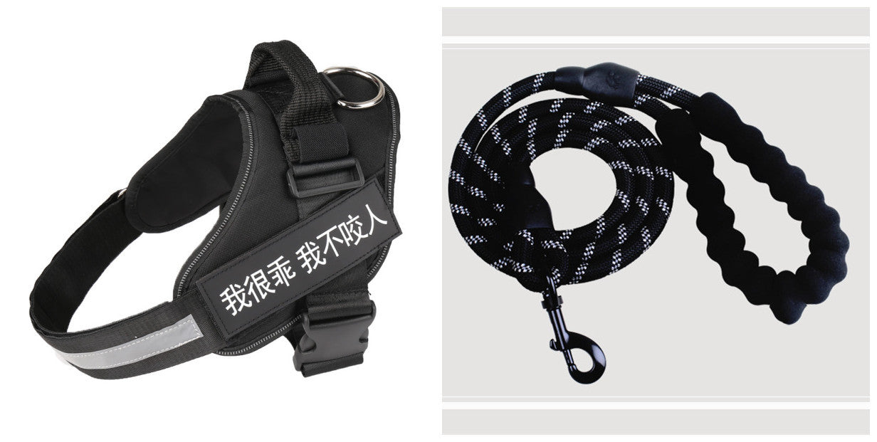 Fashion Simple Pet Leash Chest Strap Set