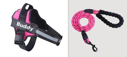 Fashion Simple Pet Leash Chest Strap Set